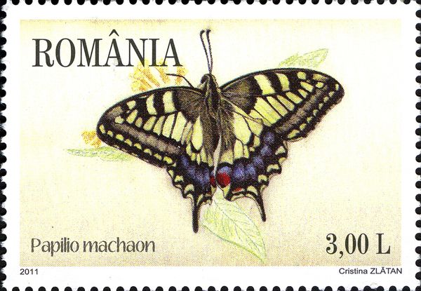 Swallowtail (Papilio machaon)