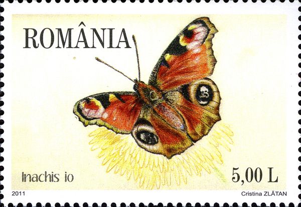European Peacock (Inachis io)