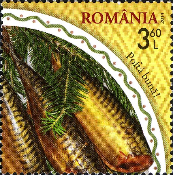 Fish on Fir Tree Branches