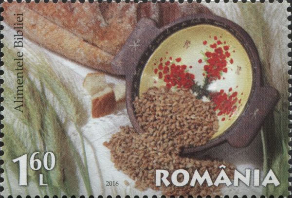Grains and Bread