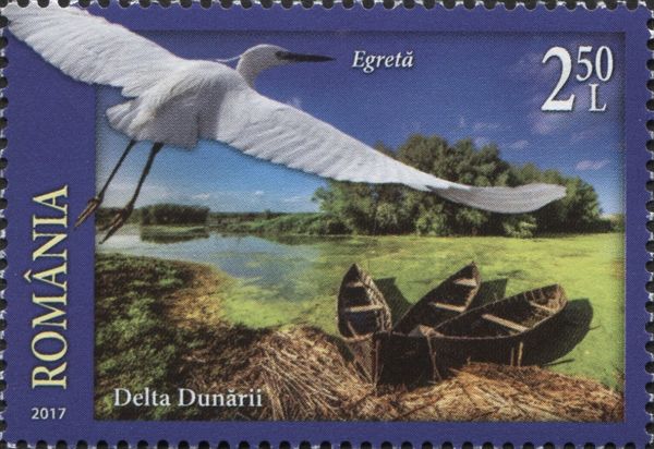 Little Egrets (Egretta garzetta); Danube Delta Biosphere