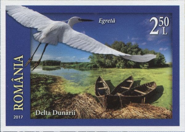 Little Egret (Egretta garzetta); Danube Delta Biosphere