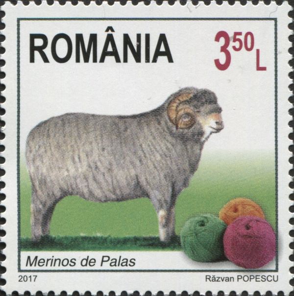 Merinos of Palas