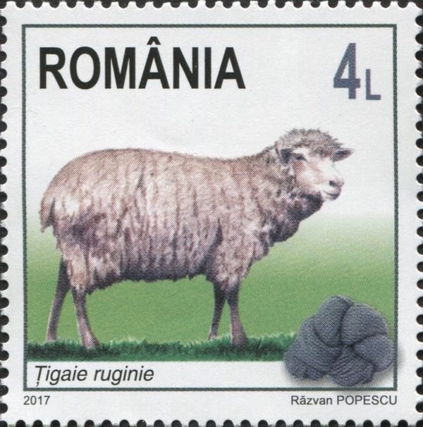 Tsigai ruginie