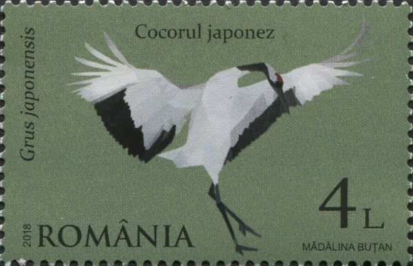 Japanese Crane (Grus japonensis)