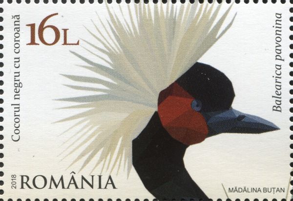 Black crowned crane (Balearica regulorum)