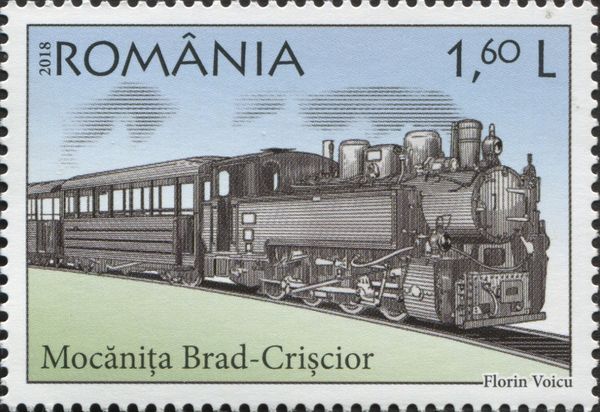 Brad-Crişcior Mocăniță Steam Train