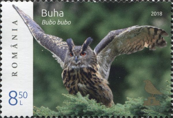 Eurasian Eagle Owl (Bubo bubo)