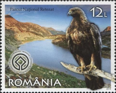 Retezat National Park, Golden Eagle (Aquila chrysaetos)