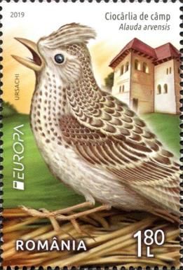 Eurasian Skylark (Alauda arvensis)