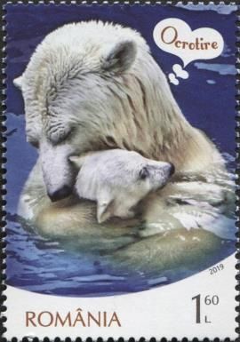 Polar Bears and Tenderness