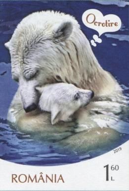 Polar Bears and Tenderness