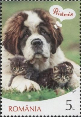 Cat and Dog and Friendship