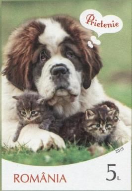 Cat and Dog and Friendship