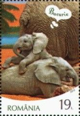 African Elephant (Loxodonta africana) and Joy
