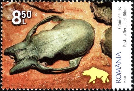 Skull of Cave Bear, Peștera Rece