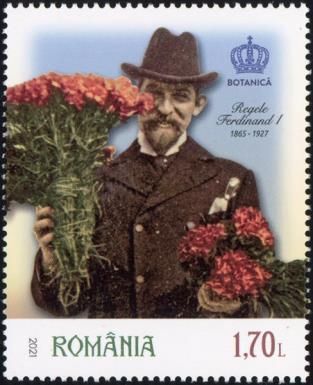 King Ferdinand - Botany