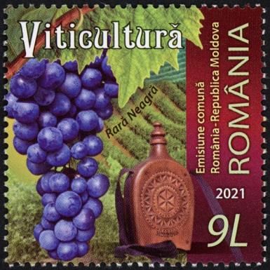 Rara Neagră Grapes and Traditional Flask