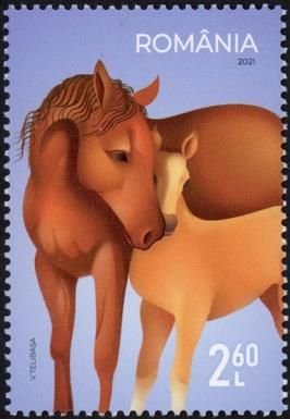 Horses