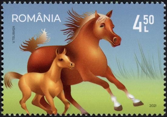 Horses