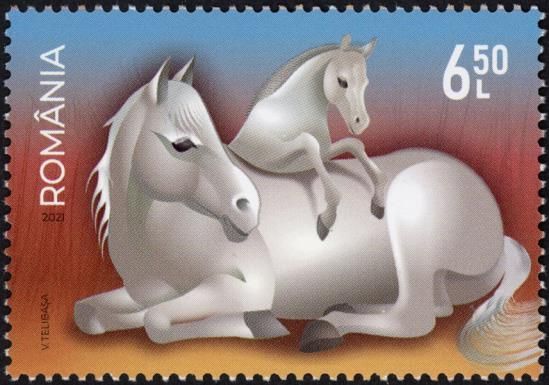 Horses