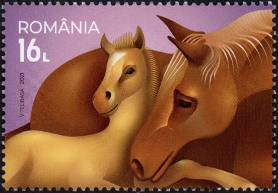 Horses
