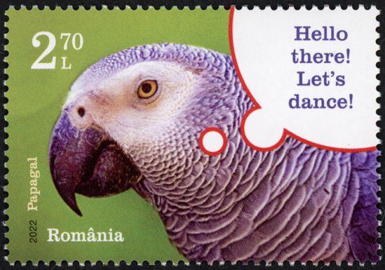 Parrot