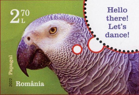 Parrot