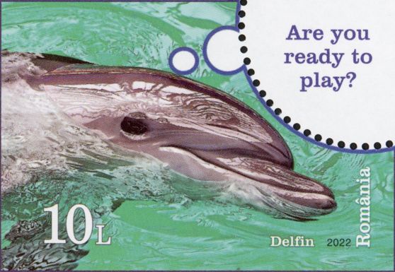 Dolphin