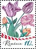 Flowers of Love