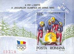 Bobsled race