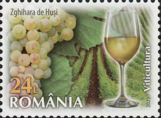 Zghihară de Huși Wine