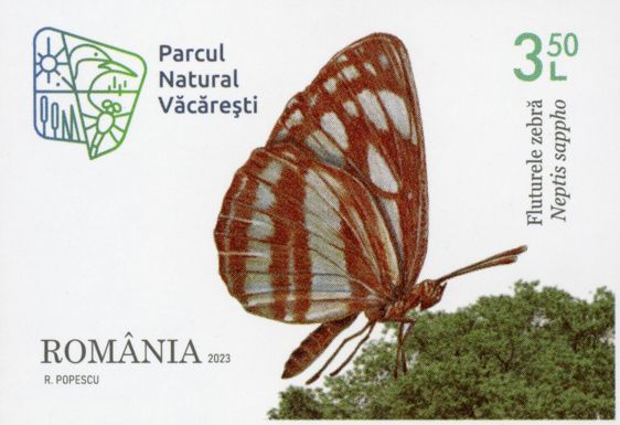 Common Glider (Neptis sappho)