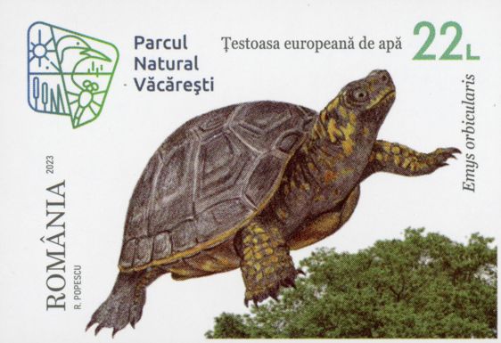 European Pond Turtle (Emys orbicularis)