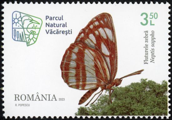 Common Glider (Neptis sappho)