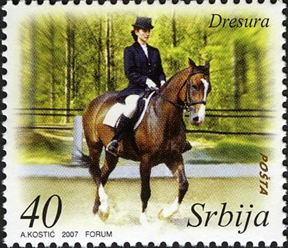 Dressage