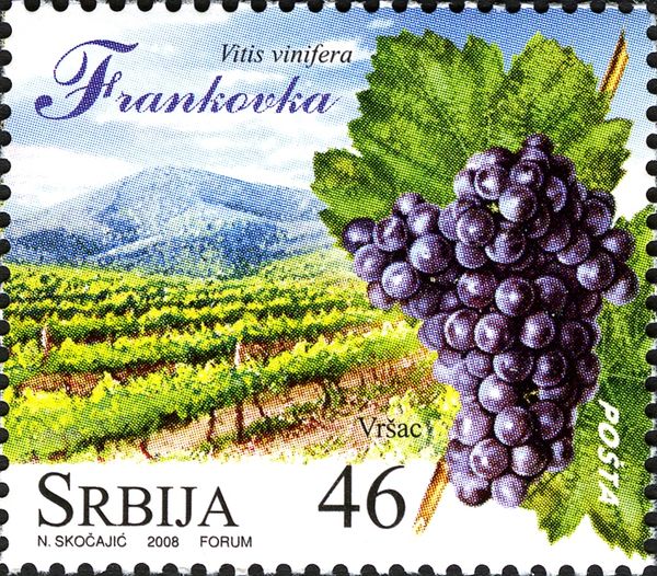Frankovka - Vrsac