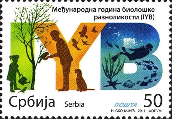 Int.year of bio diversity