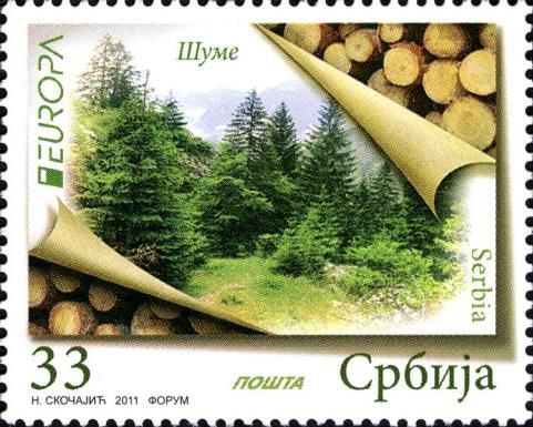 Forests