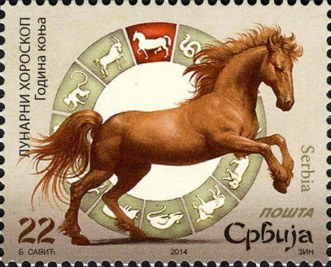 Horse (Equus ferus caballus)