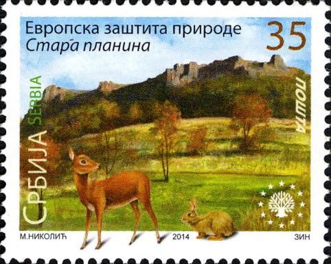Nature Park Stara Planina, Roe Deer (Capreolus capreolus), E