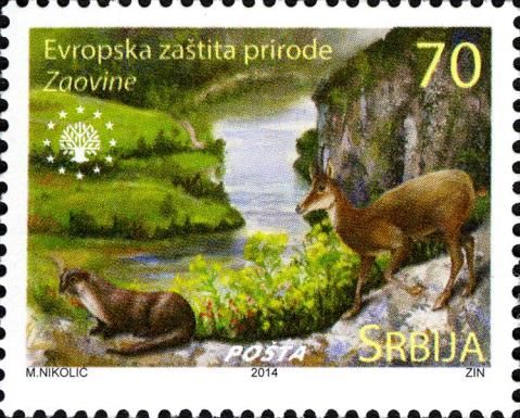 Zaovine Landscape, Eurasian Otter (Lutra lutra), Chamois (Ru