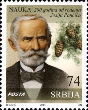 Botanist Josif Pančić