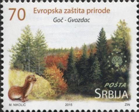 Goč-Gvozdac, Eurasian Otter (Lutra lutra)