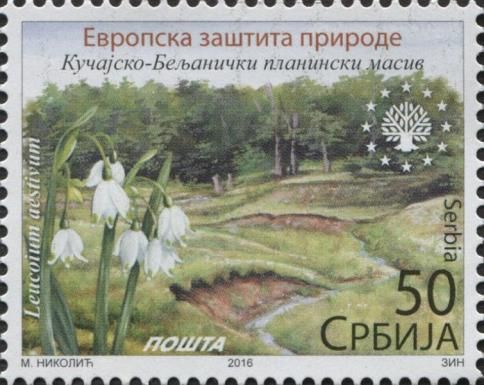 Kučajsko-beljanički planinski masiv