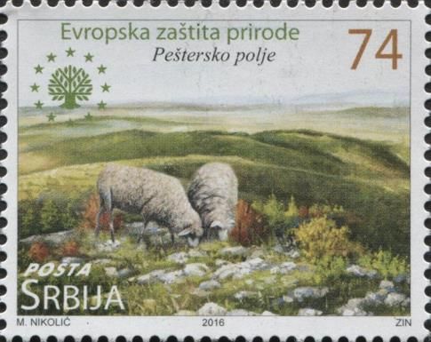 Peštersko polje