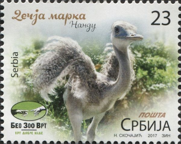 Beo ZOO -- Nandu
