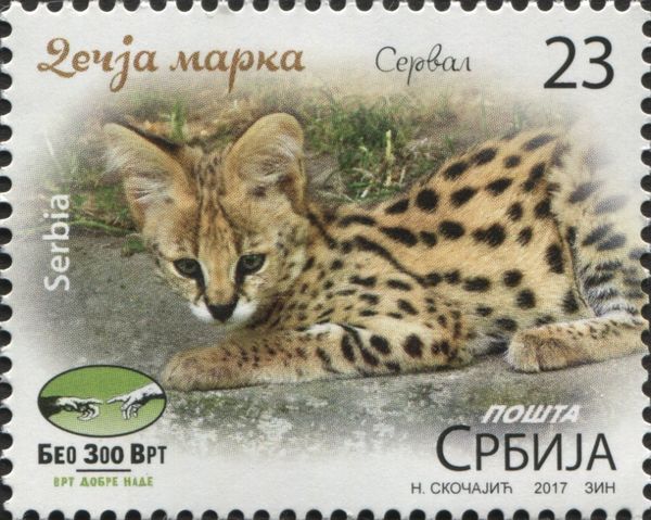 Beo ZOO - Serval