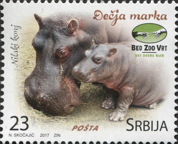 Beo ZOO - Hippo
