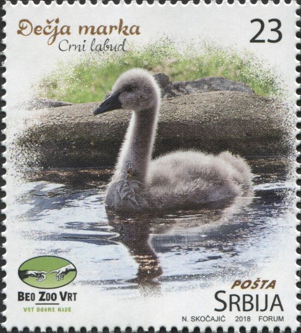Black Swan